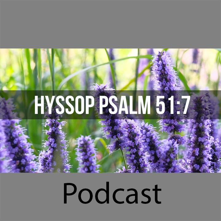 Hyssop episode artwork