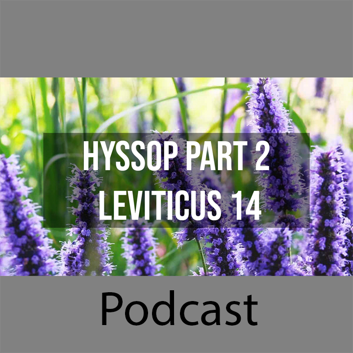 Hyssop Part 2 episode artwork