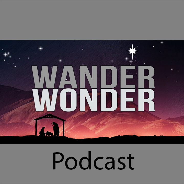 Wander to Wonder episode artwork