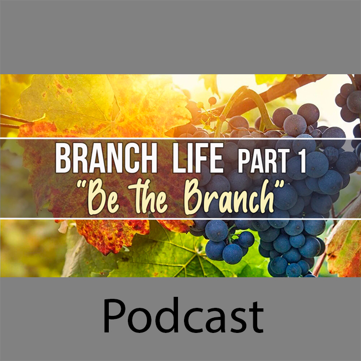 Be the Branch – Part 1 episode artwork