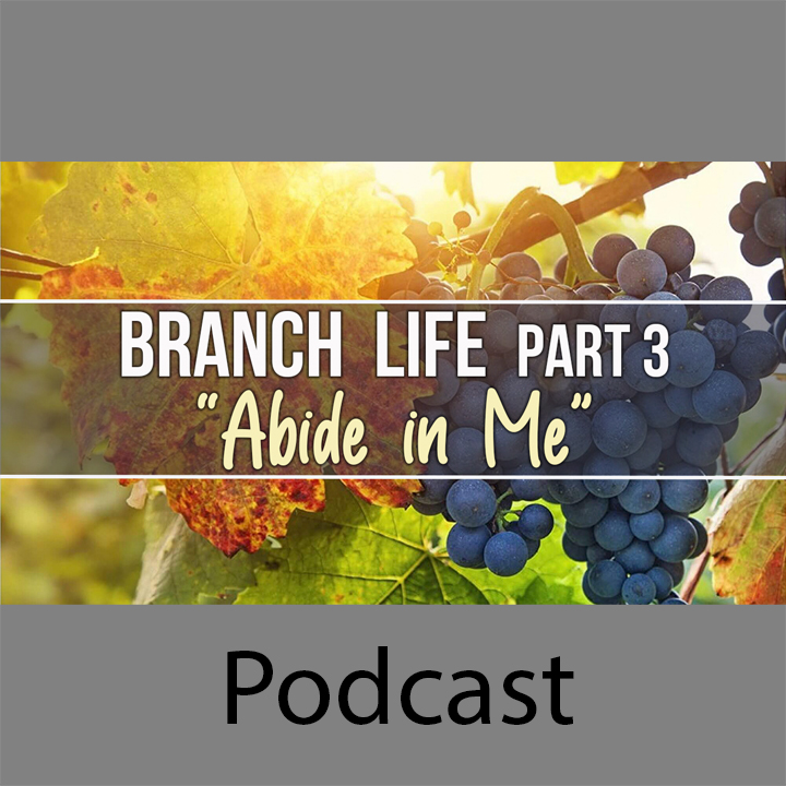 Branch Life Part 3: Abide in Me episode artwork