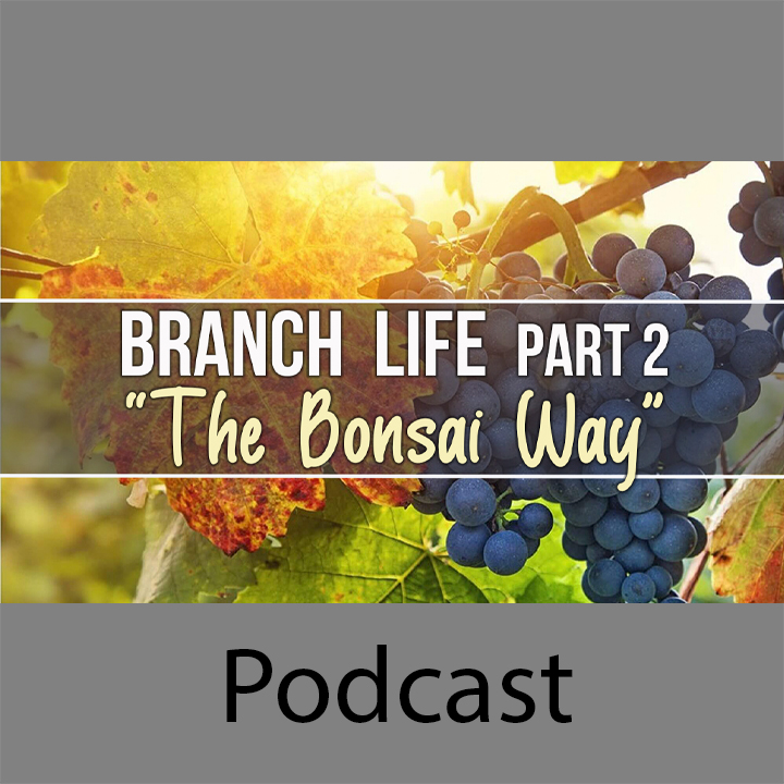 The Bonsai Way: The Branch Life Part 2 episode artwork