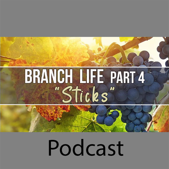 Branch Life Part 4: Sticks episode artwork