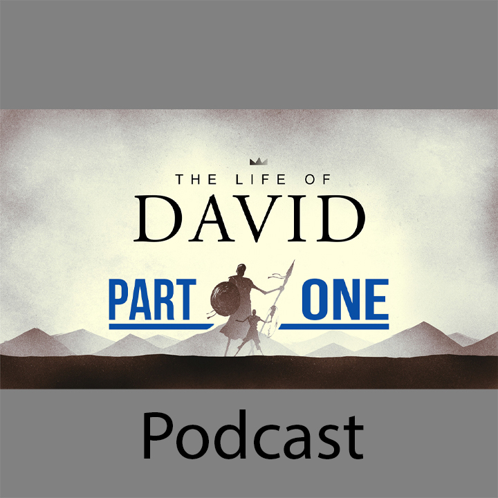 The Life of David Part 1 episode artwork