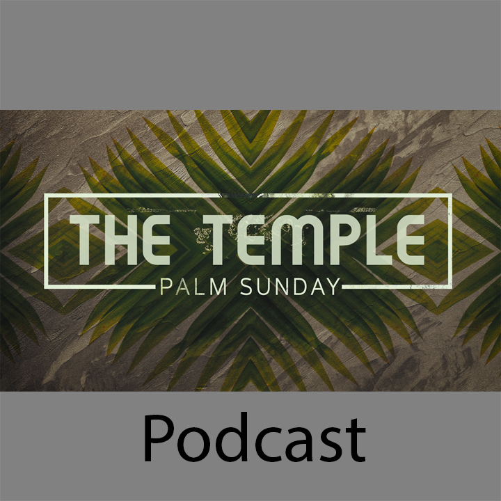 Palm Sunday and the Temple episode artwork
