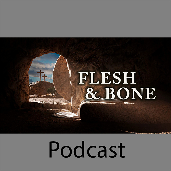 Flesh and Bone episode artwork