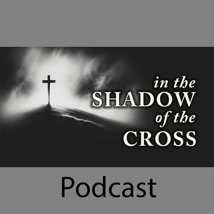 Shadow of The Savior episode artwork