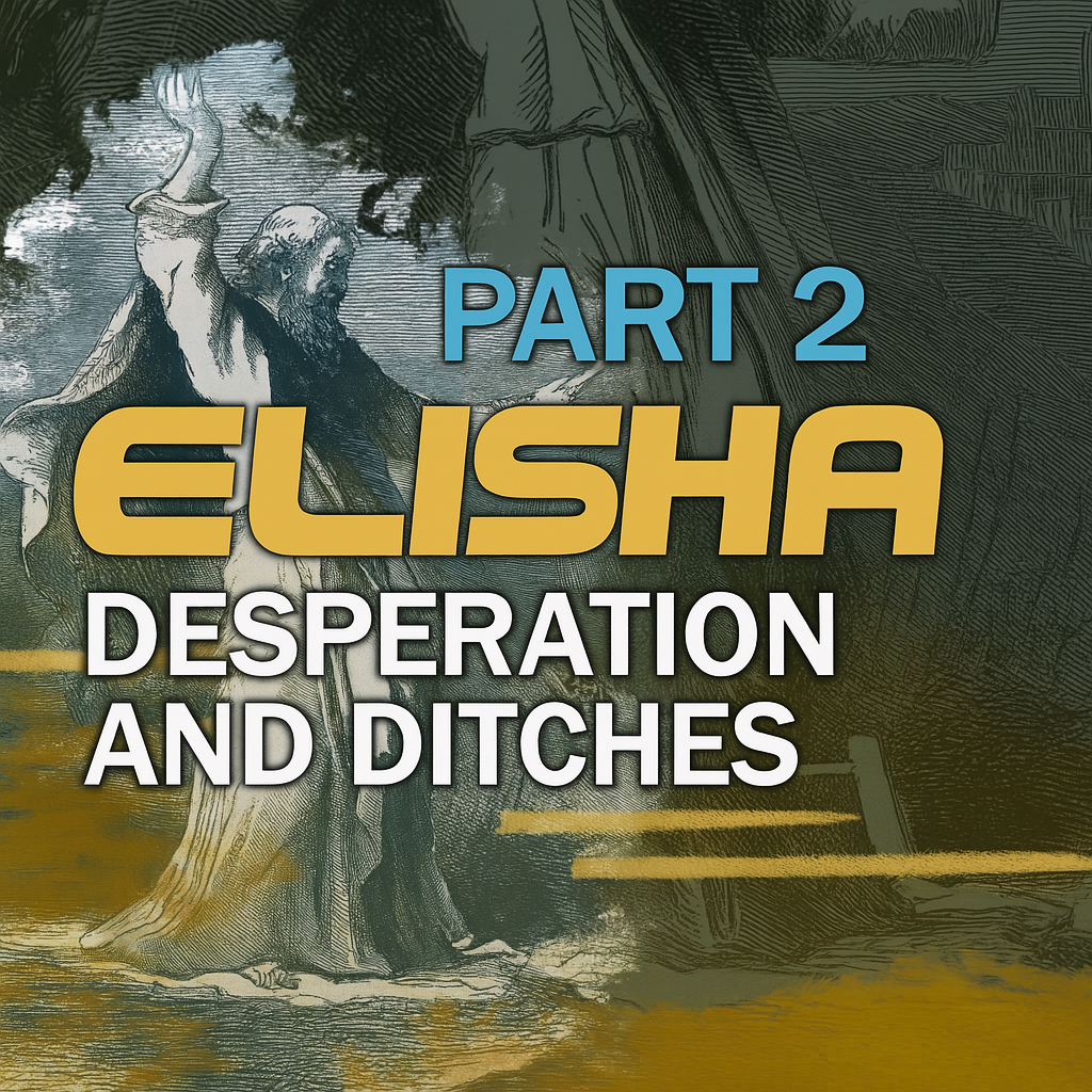 Elisha Part 2: Desperation and Ditches | 2 Kings 3 episode artwork