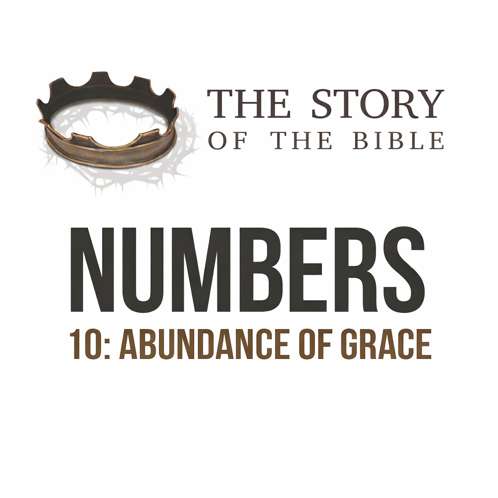 The Story Part 10: Abundance of Grace | Numbers 20:1-13 episode artwork